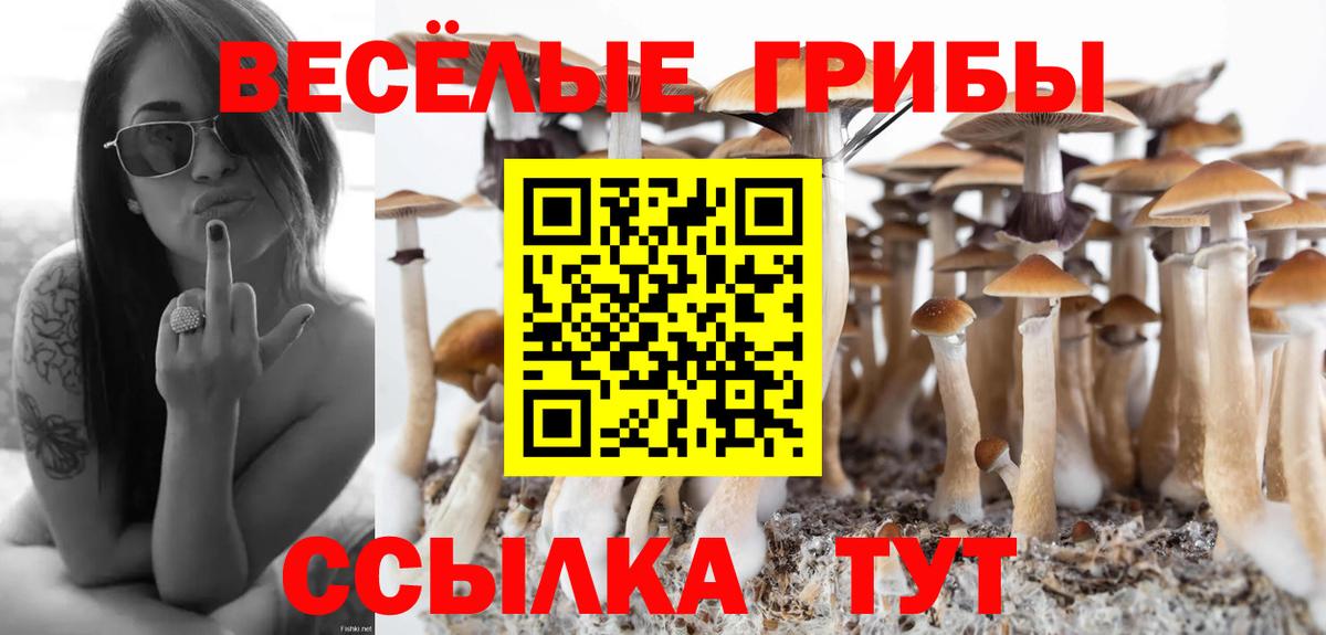 Старый Оскол  Галлюциногенные грибы Psilocybine cubensis  Вход с VPN 